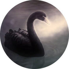 Afbeelding in Gallery-weergave laden, Muurcirkel - Zwaan in het water - Lounge&Lifestyle