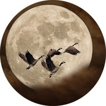 Afbeelding in Gallery-weergave laden, Muurcirkel - Ganzen - Lounge&Lifestyle