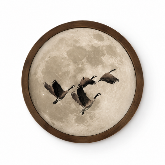Muurcirkel Ganzen Bij Volle Maan | Wanddecoratie 30 cm