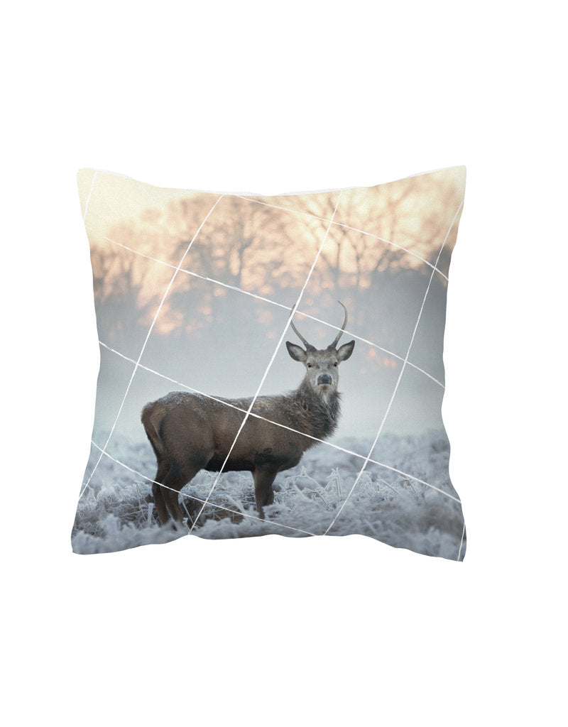 Kussen - Hert en tekst - Lounge&Lifestyle