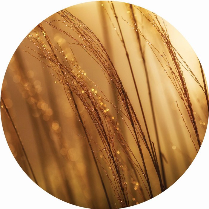 Muurcirkel - Gold - Lounge&Lifestyle