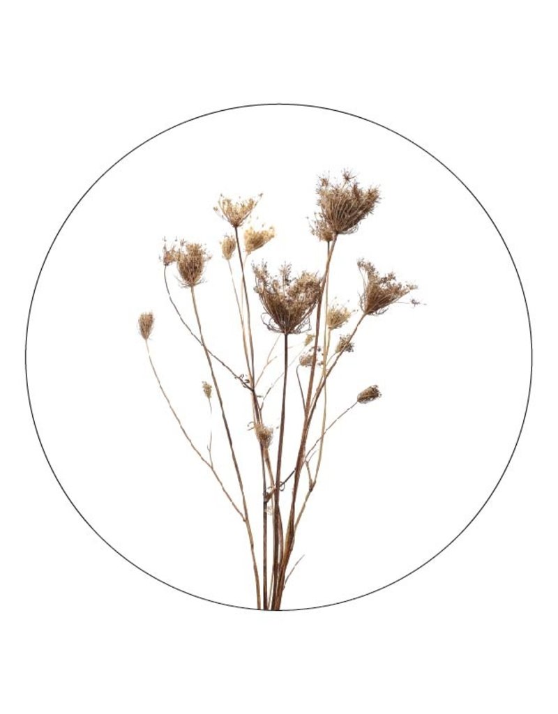 Muurcirkel - Gedroogde bloemen - Lounge&Lifestyle
