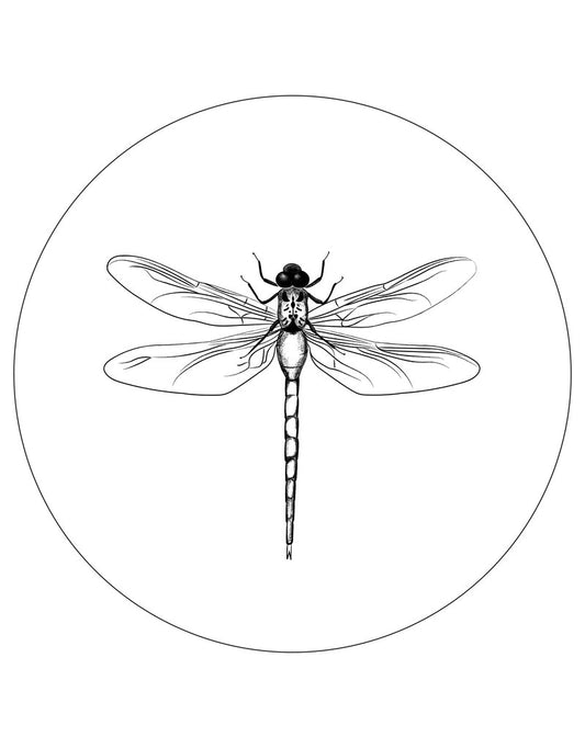 Muurcirkel - Wit met Libelle - Lounge&Lifestyle
