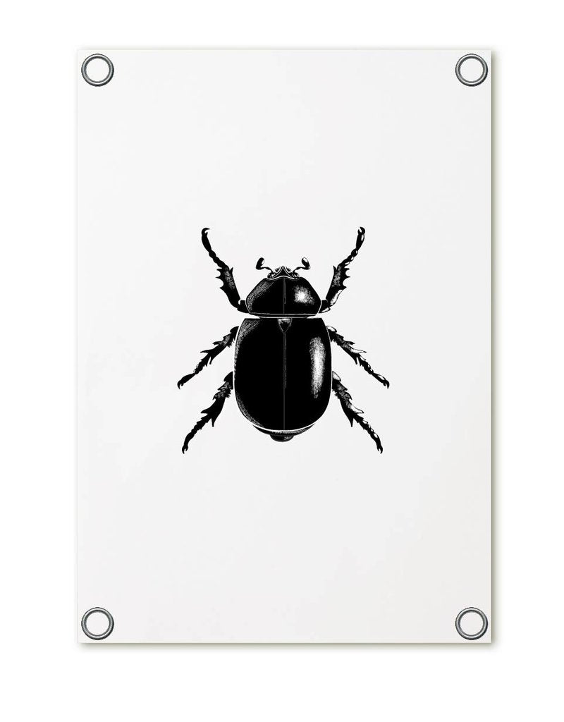 Tuinposter - Wit met kever - Lounge&Lifestyle